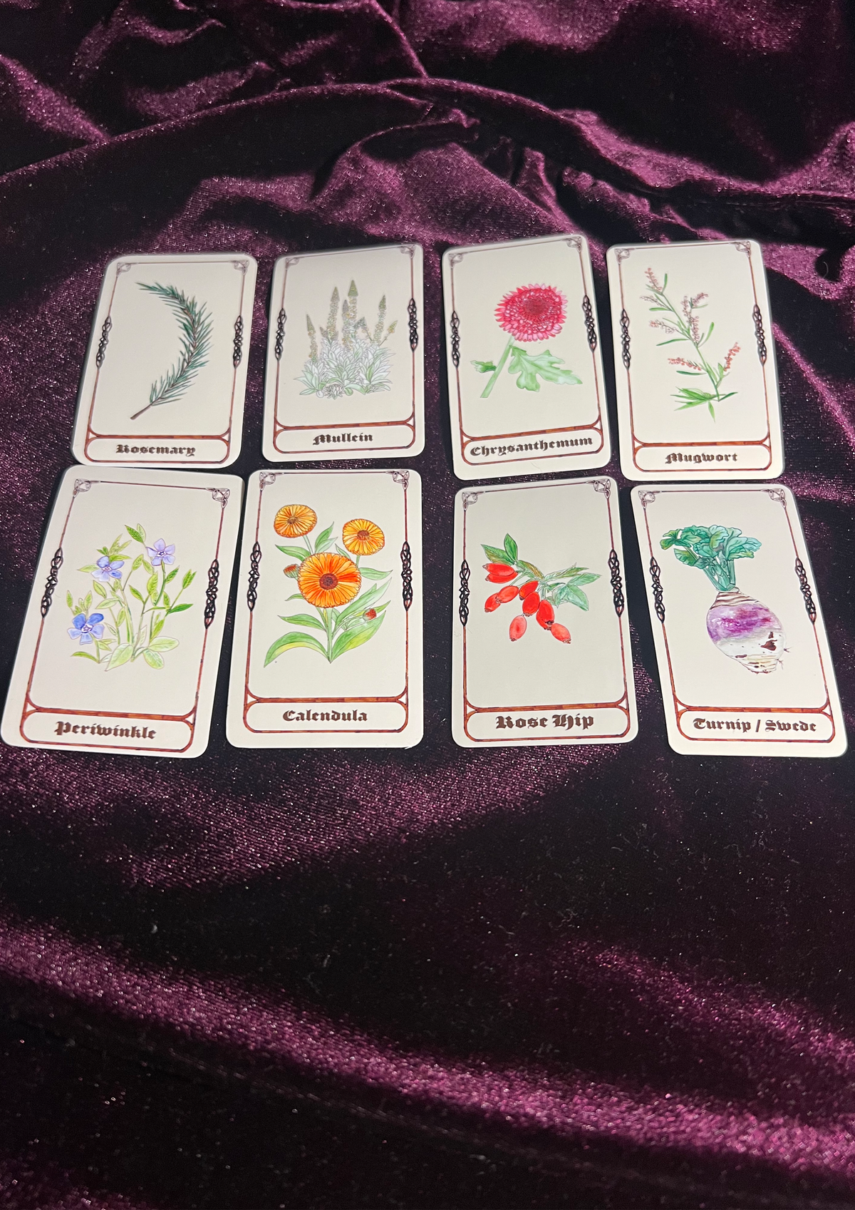 Samhain Edition: Magical Plant/Herb Stickers - Pack of 8