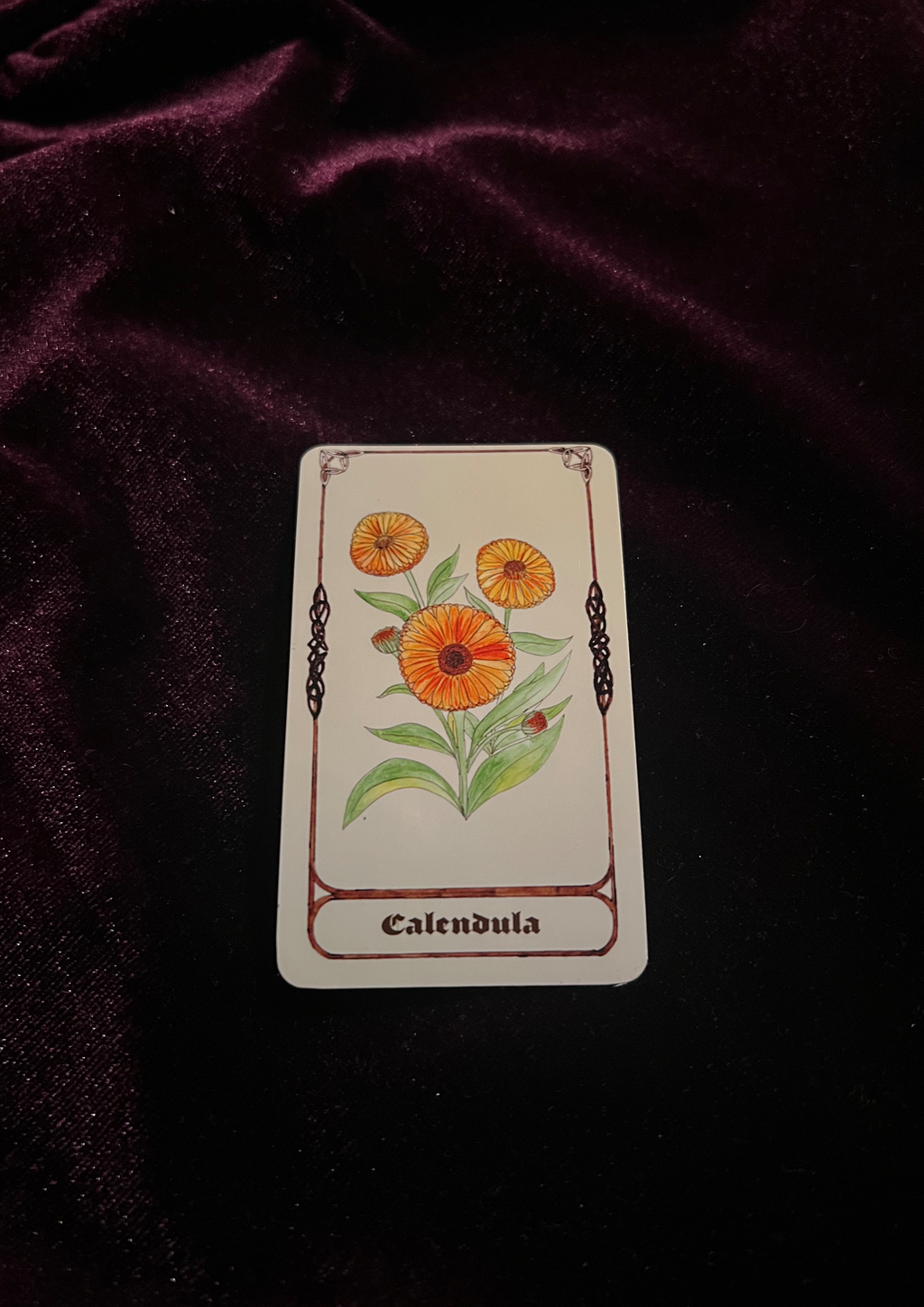 Samhain Edition: Magical Plant/Herb Stickers - Pack of 8