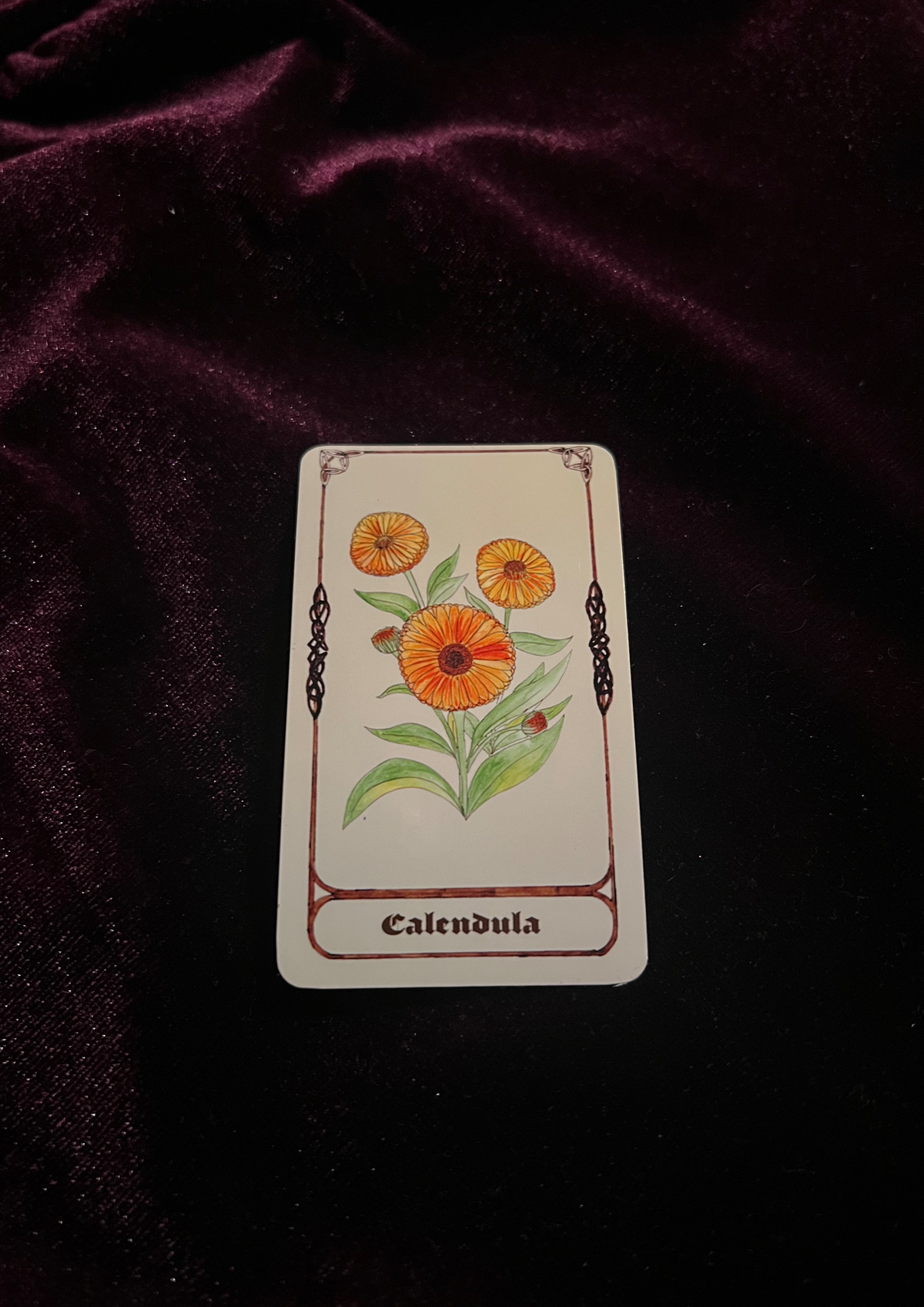 Samhain Edition: Magical Plant/Herb Stickers - Pack of 8