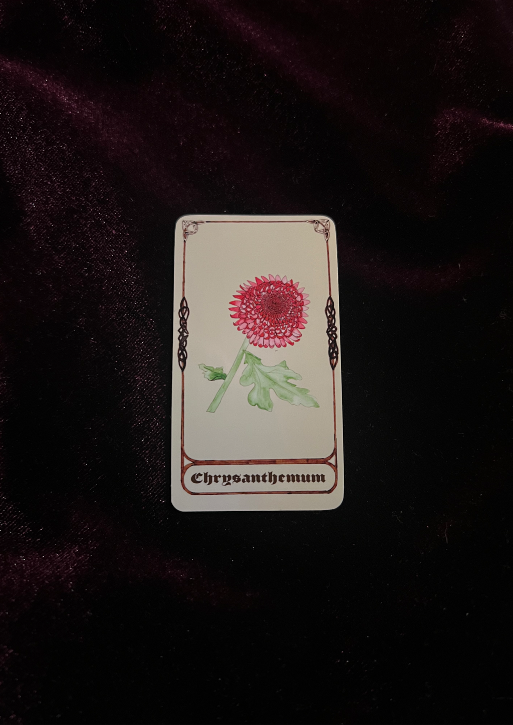 Samhain Edition: Magical Plant/Herb Stickers - Pack of 8