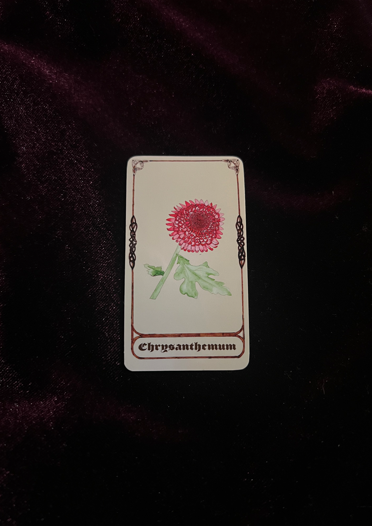 Samhain Edition: Magical Plant/Herb Stickers - Pack of 8