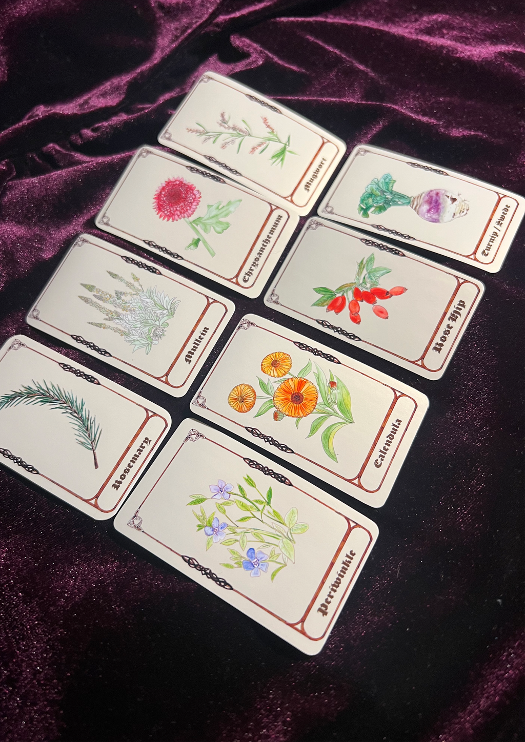Samhain Edition: Magical Plant/Herb Stickers - Pack of 8