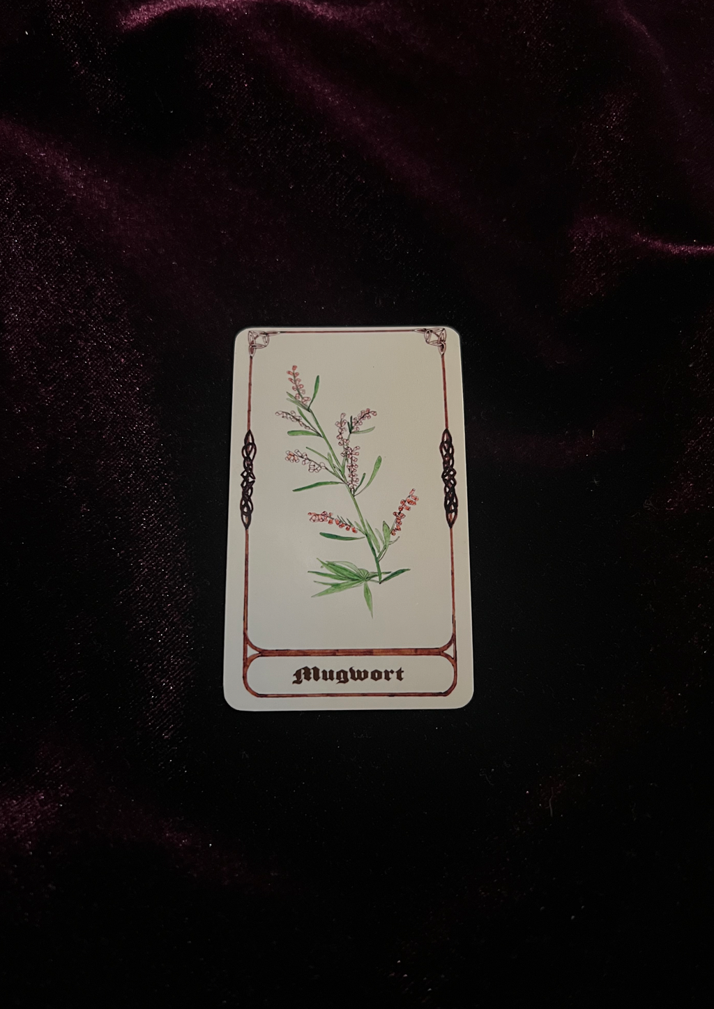 Samhain Edition: Magical Plant/Herb Stickers - Pack of 8