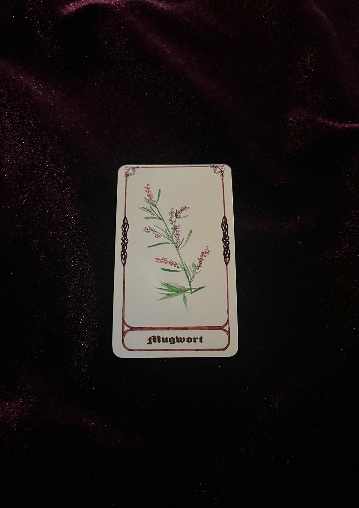 Samhain Edition: Magical Plant/Herb Stickers - Pack of 8