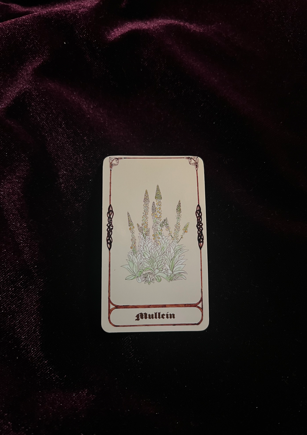 Samhain Edition: Magical Plant/Herb Stickers - Pack of 8