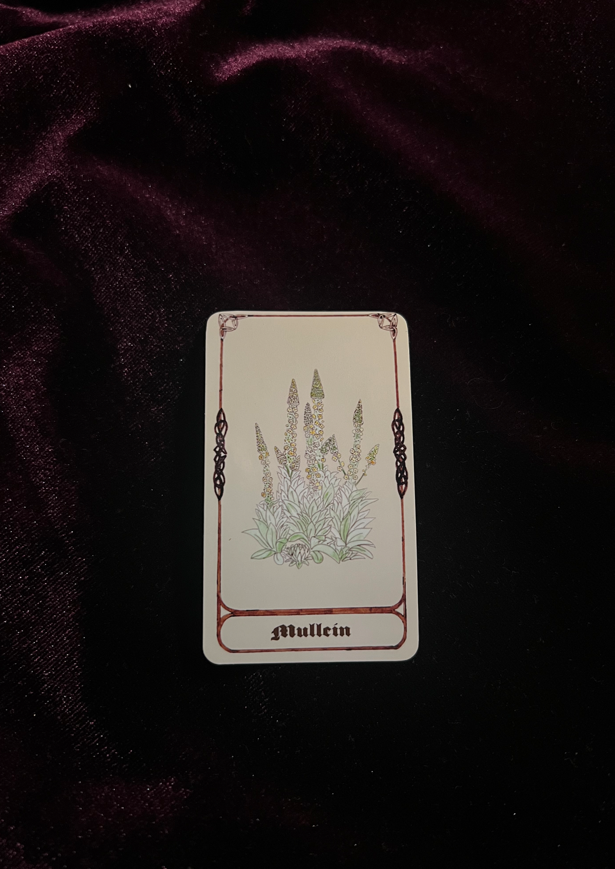 Samhain Edition: Magical Plant/Herb Stickers - Pack of 8