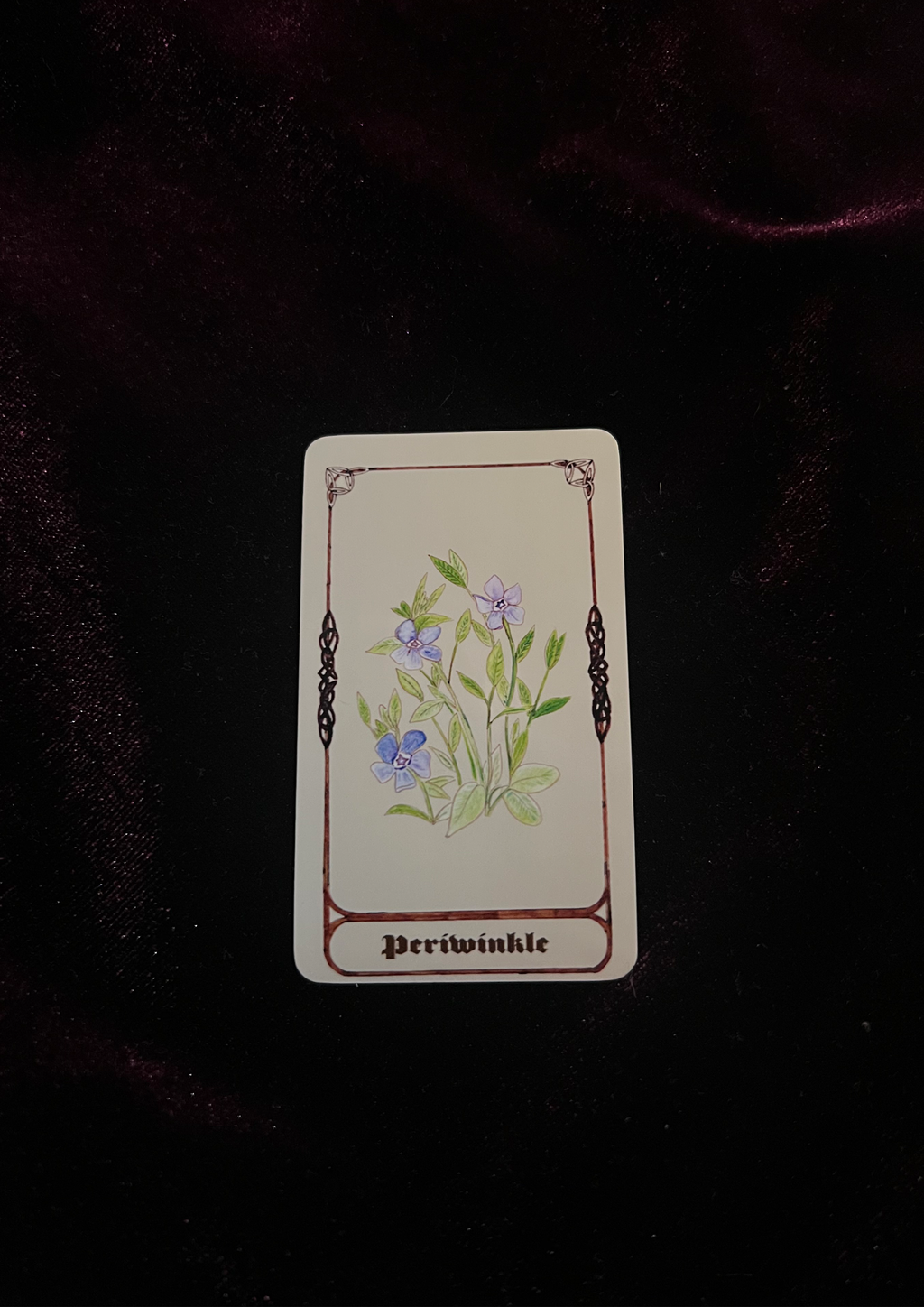 Samhain Edition: Magical Plant/Herb Stickers - Pack of 8