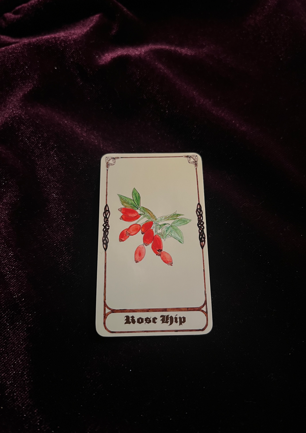 Samhain Edition: Magical Plant/Herb Stickers - Pack of 8