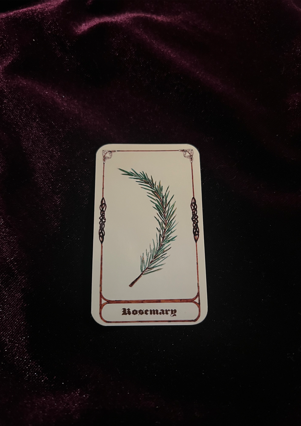 Samhain Edition: Magical Plant/Herb Stickers - Pack of 8