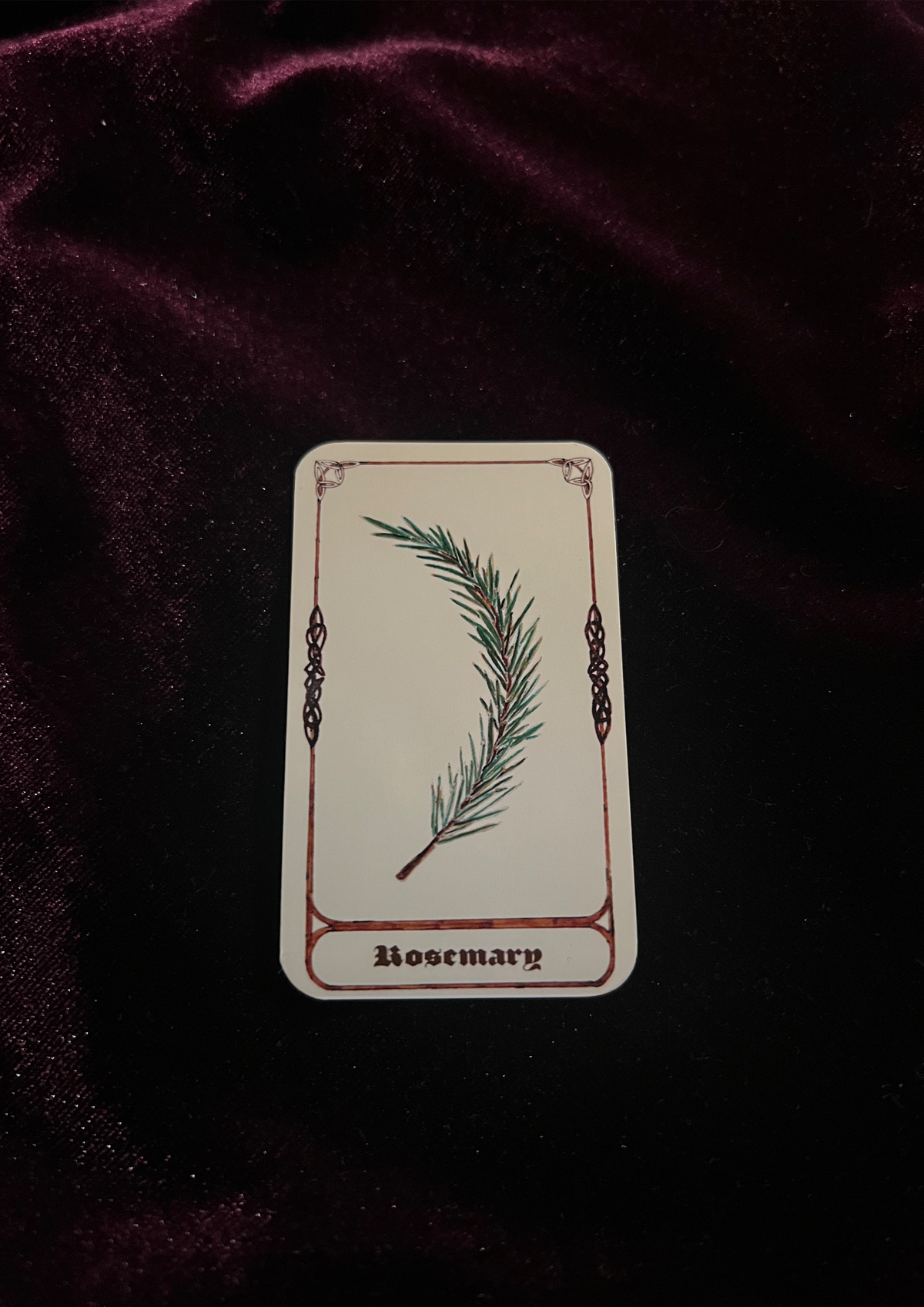 Samhain Edition: Magical Plant/Herb Stickers - Pack of 8