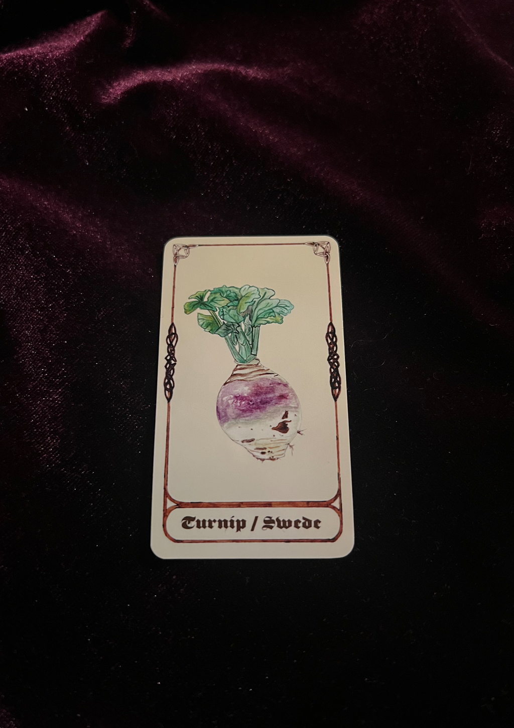 Samhain Edition: Magical Plant/Herb Stickers - Pack of 8